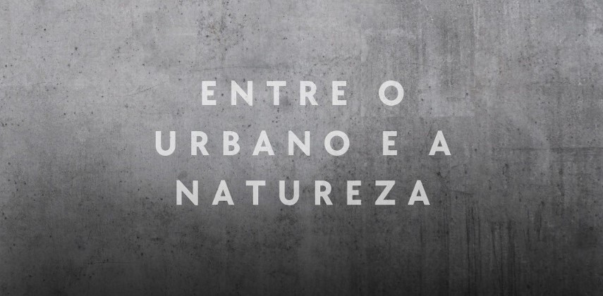 Captura de tela 2024-09-11 114342
